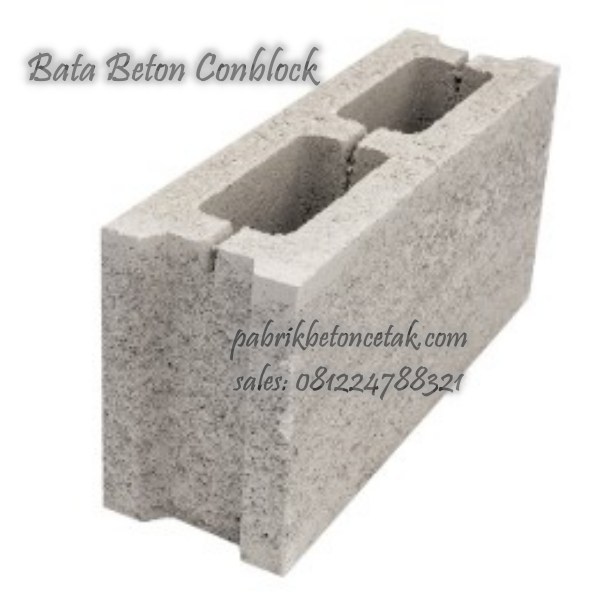 Bata Conblock Lubang 2