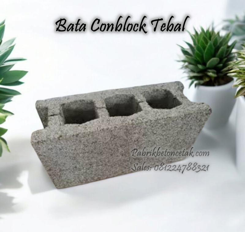 Bata Conblock Lubang 3 Tebal
